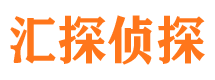 迎江侦探公司